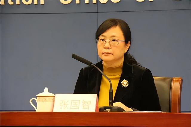 张国智履新广东省委常委，背景分析、影响与时代地位展望