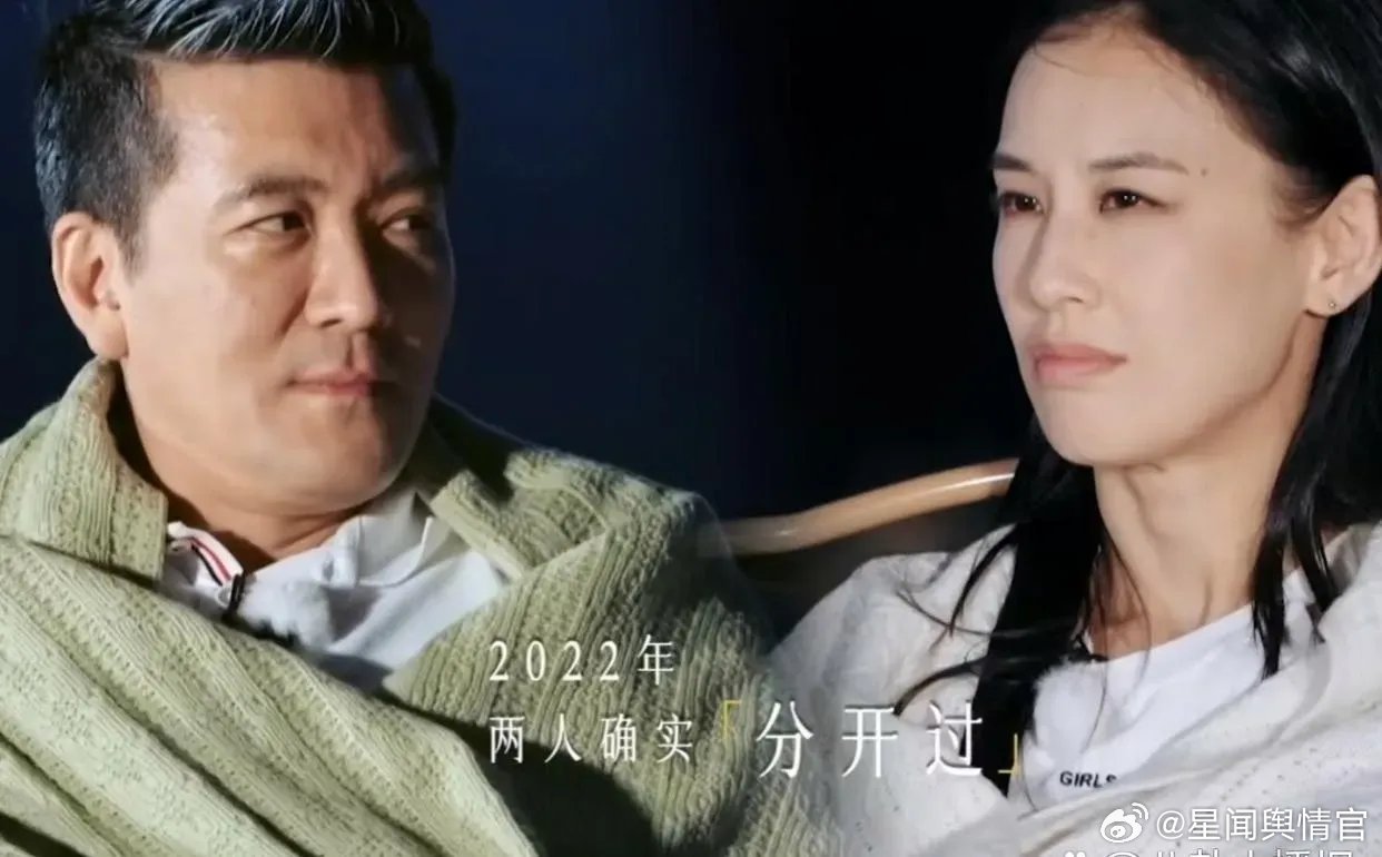 杨子未来一年将回归家庭，期待未来家庭生活的新篇章