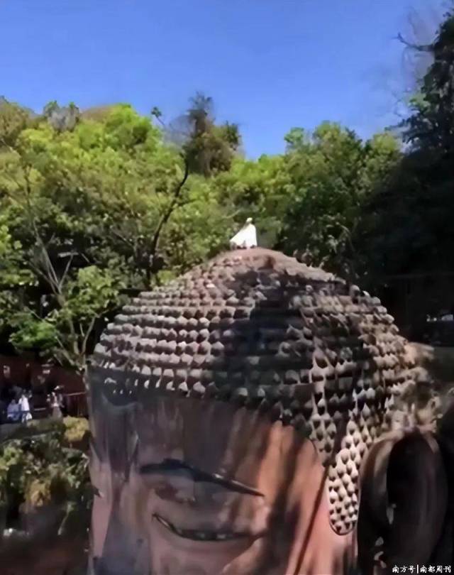乐山大佛景区男女混用男厕现象引关注，景区回应与自信成就感的交织
