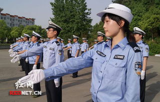 新警高效擒获二十四名嫌疑人，初入职场的挑战与表现分析