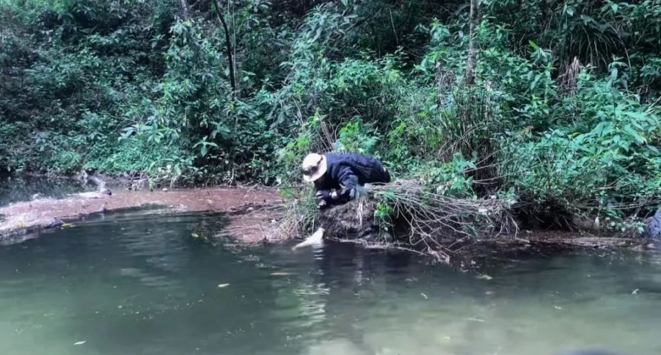 哀牢山摆拍事件揭秘，背后的真相与争议探讨