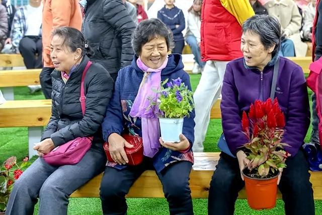 长安街鲜花摆放背后的故事，如何为近千家庭带来美丽花卉的详细指南