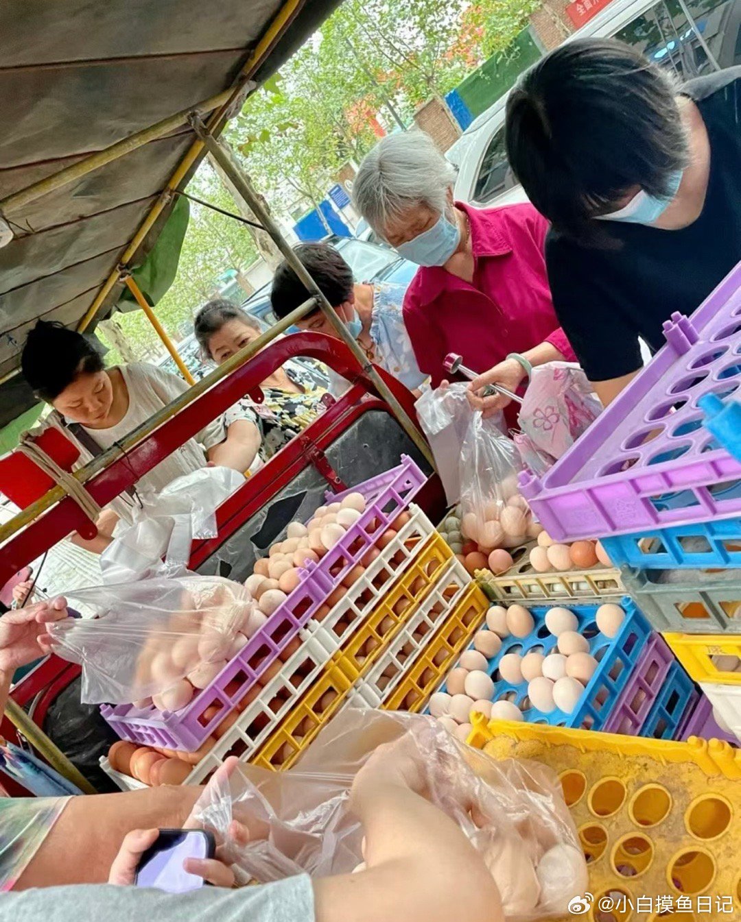 老人扫码领免费鸡蛋被偷开免密支付