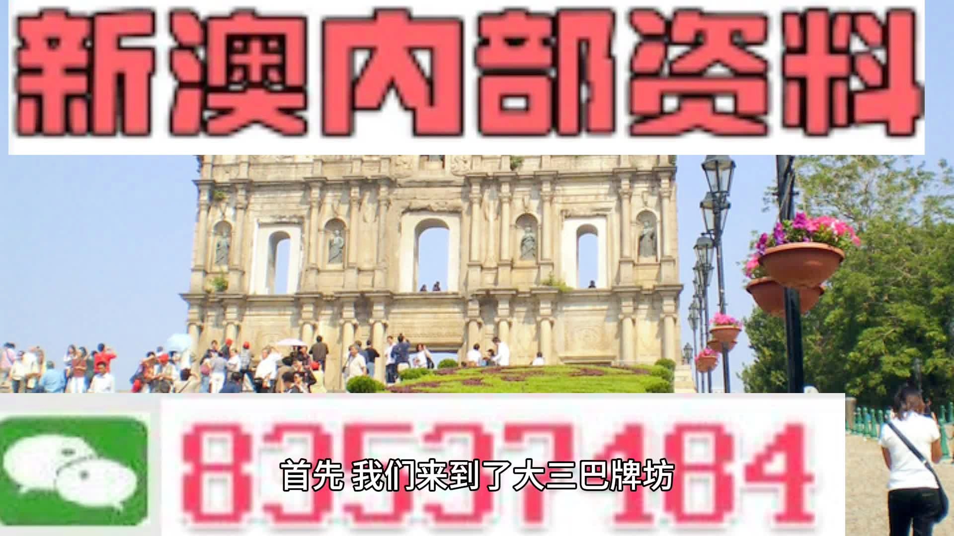 新澳门精准四肖期期中特公开，动态词语解释落实_网页版34.10.73