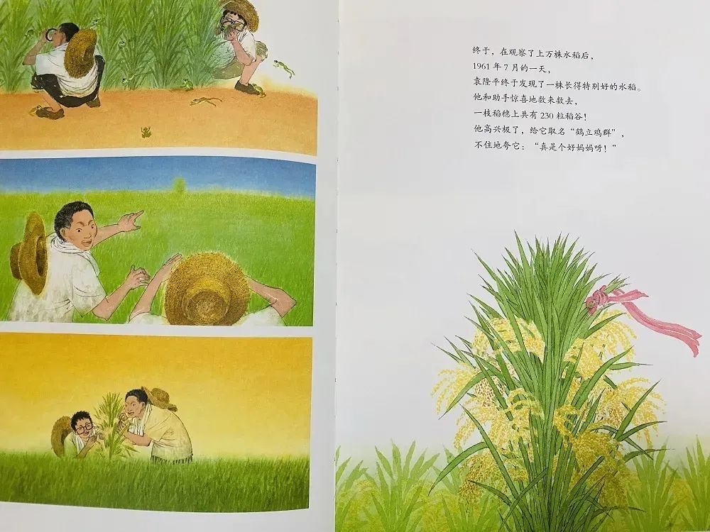 拥抱变化，书写错误与成长之路的故事探索