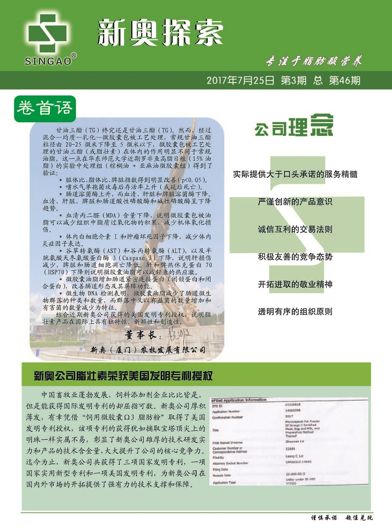 2024新奥正版资料免费提供，效率资料解释落实_WP92.22.71