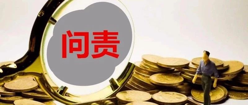 管家婆204年资料一肖配成龙，准确资料解释落实_The71.89.100