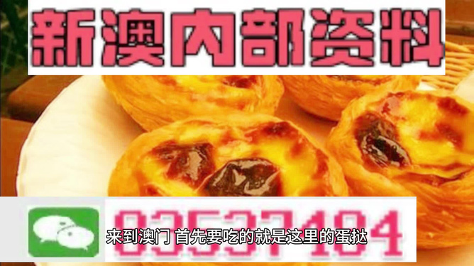 2024新澳正版免费资料大全，绝对经典解释落实_HD94.17.75