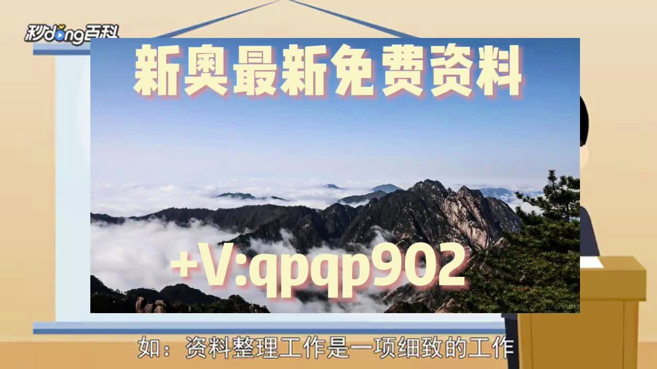 2024新澳正版免费资料大全，决策资料解释落实_iPhone36.94.14