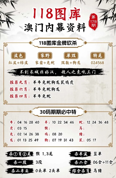 澳门最精准正最精准龙门客栈免费，决策资料解释落实_BT11.78.68