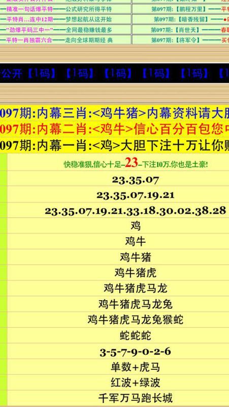 2024今晚澳门开特马，全面解答解释落实_GM版27.39.8