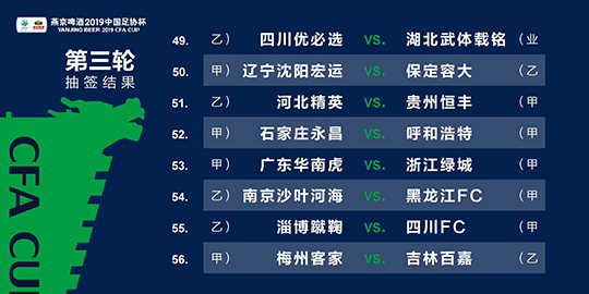 2024新澳门全年九肖资料，效率资料解释落实_The75.70.3