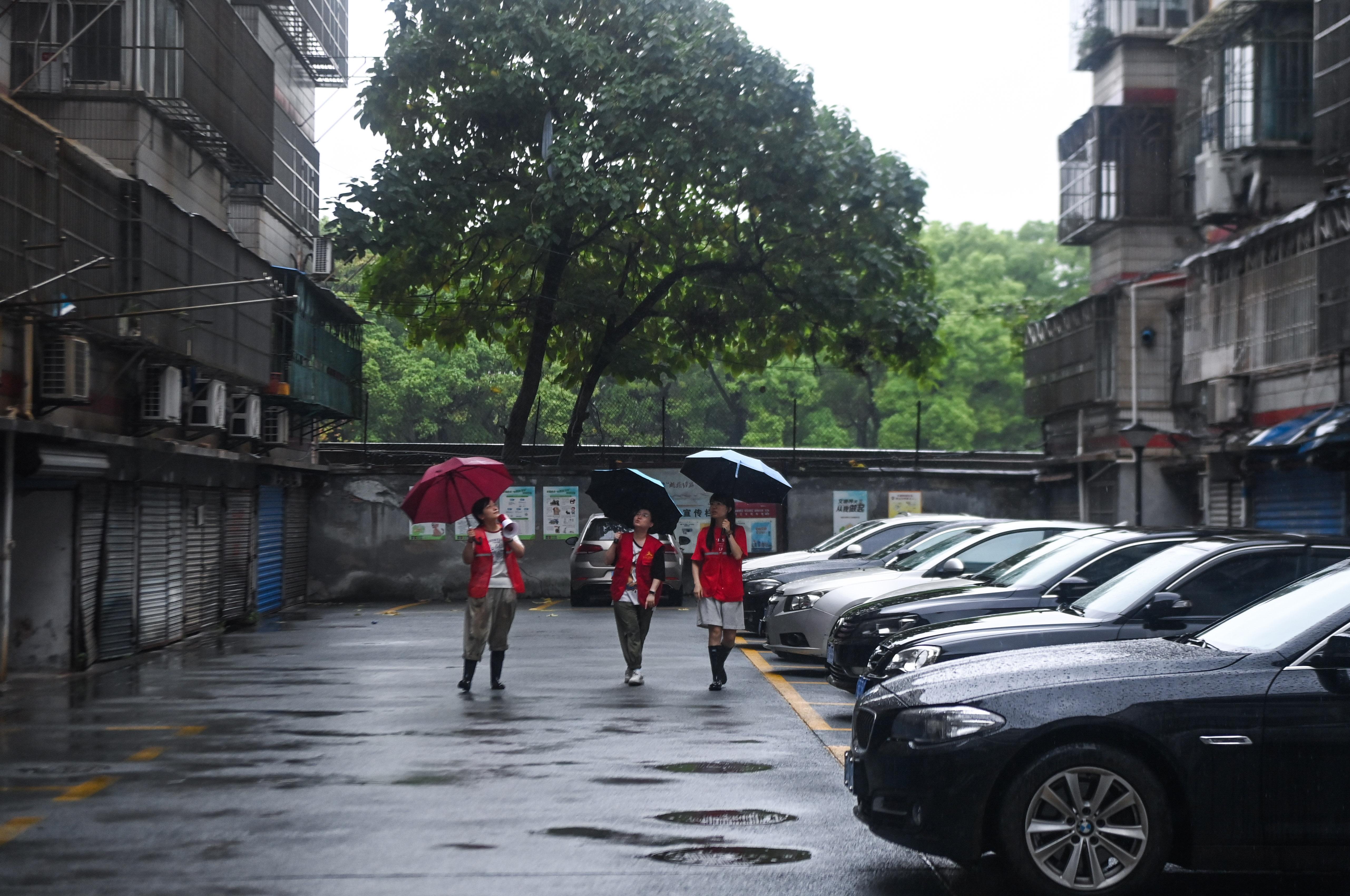 江苏台风揭秘