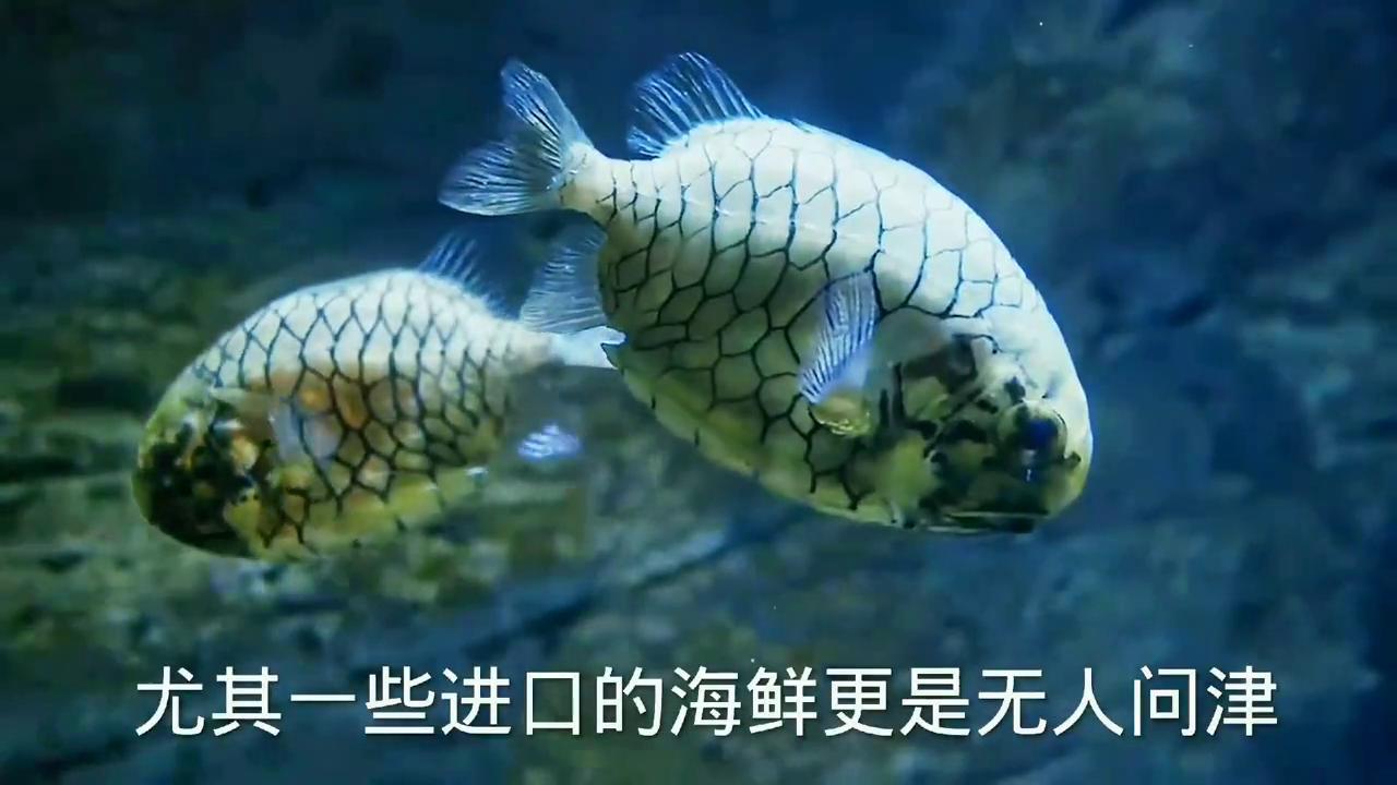 智能时代的企业应对策略