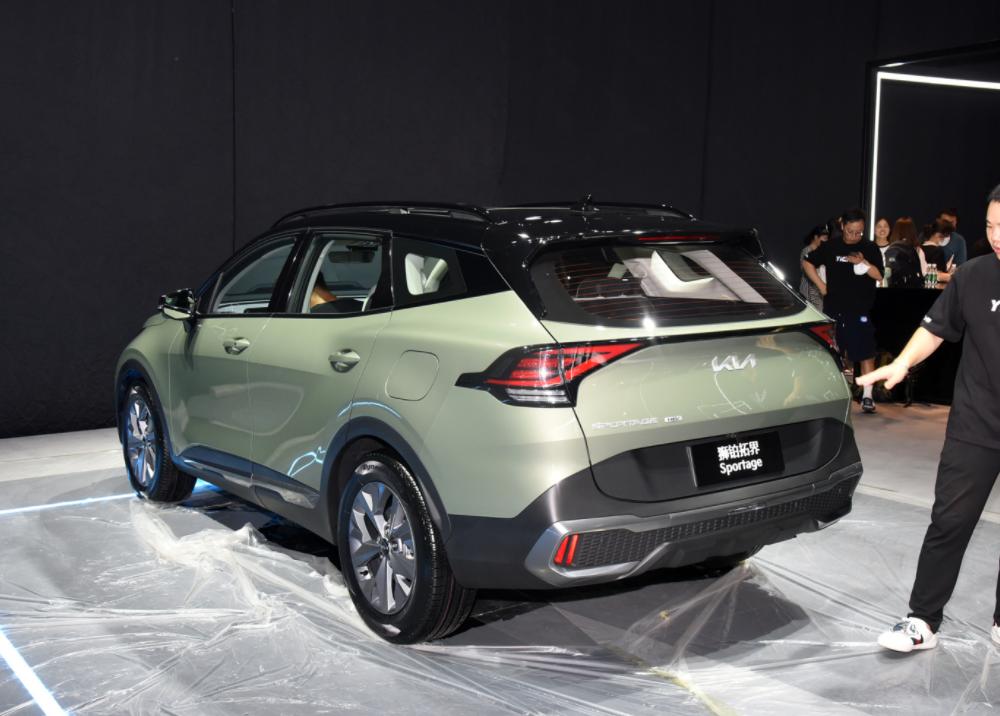 2023狮铂拓界二手车，市场前景深度分析
