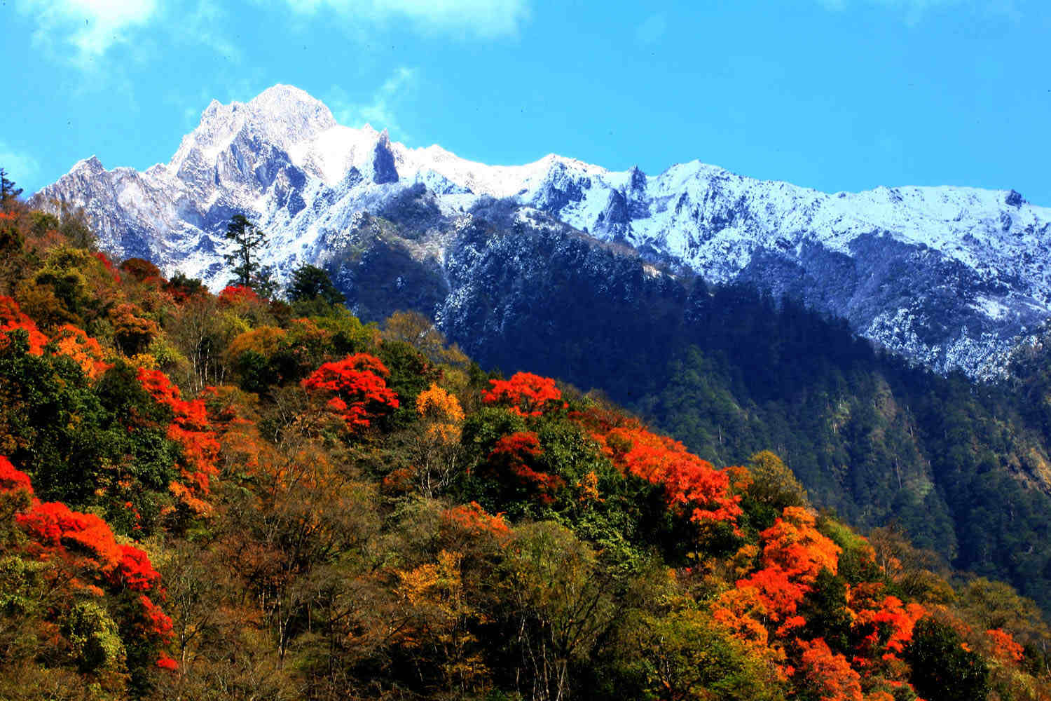 乐山陪伴之旅）