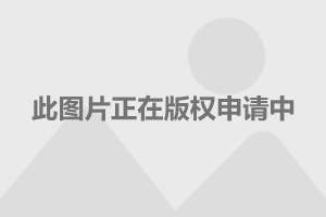 T5轮胎的秘密