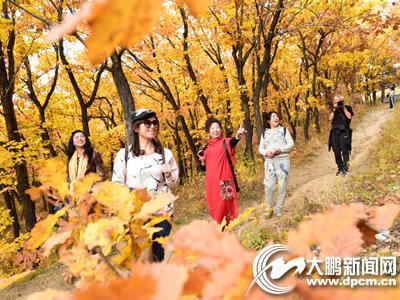 金秋旅游市场