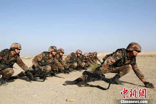 这两个词汇能够较为准确地概括您提供的内容。