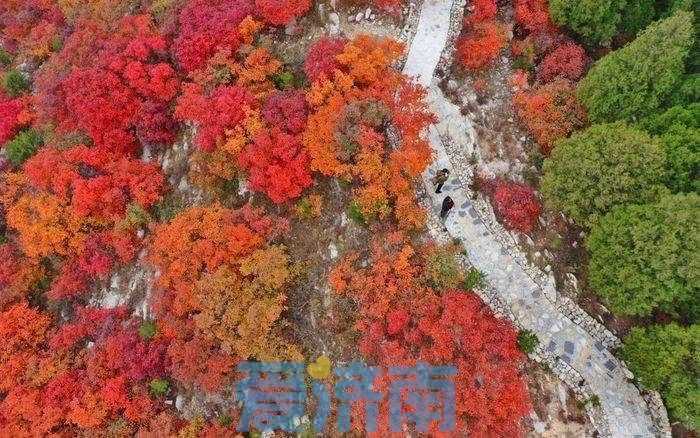 赏红叶地图