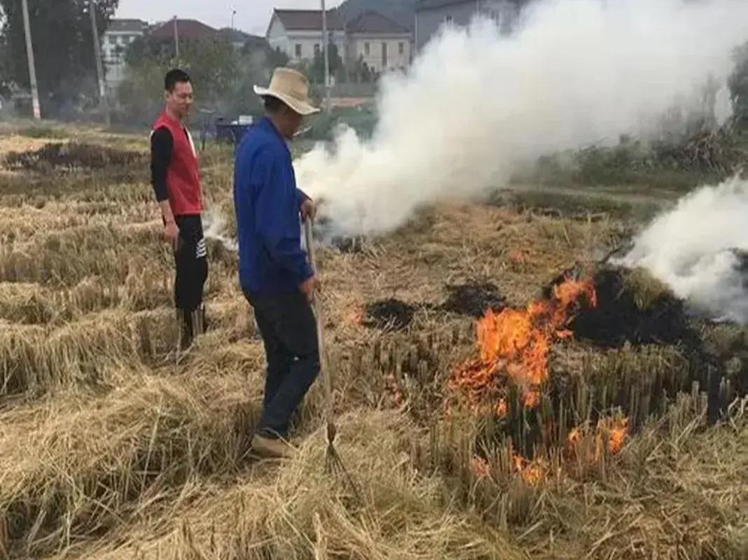 利弊分析与个人看法/实践探索之路