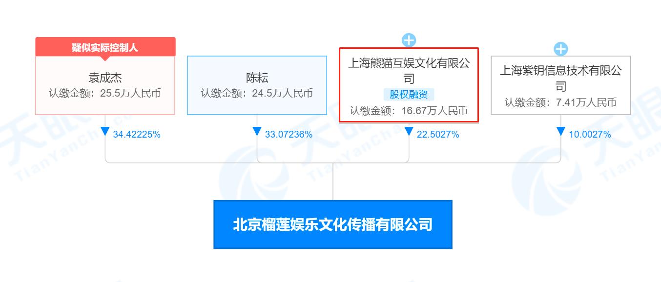 原因与影响探究
