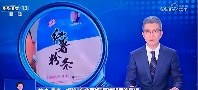 东北雨姐道歉并承诺承担法律责任，高科技产品引领时代，体验前所未有的科技生活