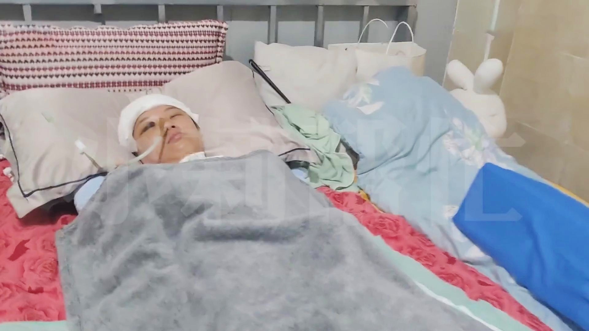 鲨鱼夹摔倒事件