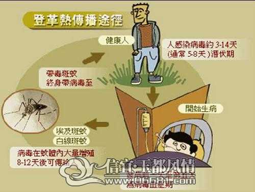 广东一周新增登革热病例达1770例，疫情之下小巷中的奇遇与挑战
