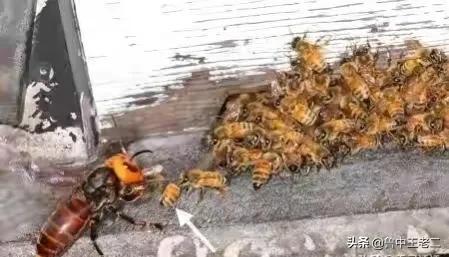 惊险逃离现场
