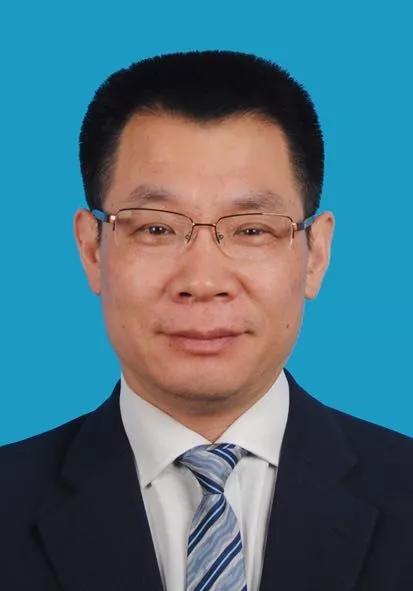 2024新奥天天免费资料，深入执行计划数据_C版96.67.12