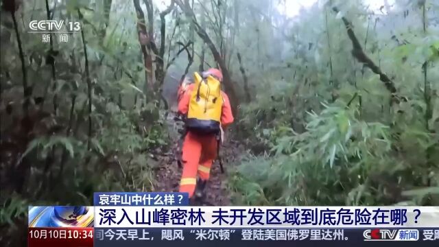 哀牢山神秘鸟鸣与科考之旅，鸟叫声如人类般婉转交流