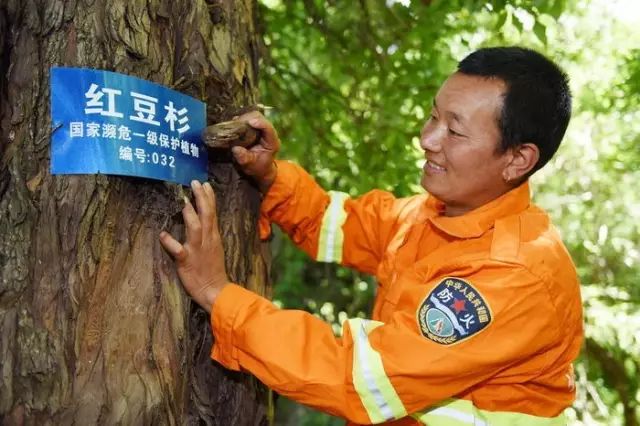 法律警示与内心平静之路
