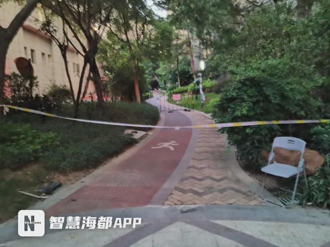 父亲发声引深思