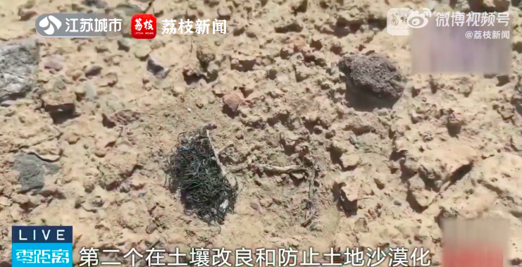网络时代的成就力量转变