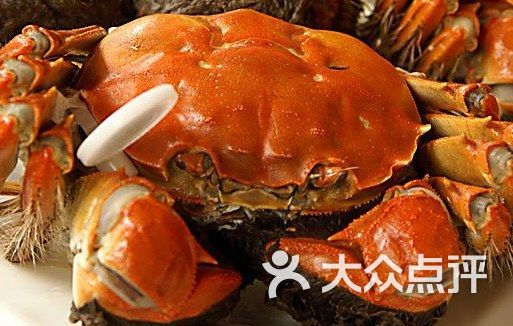 阳澄湖大闸蟹旅行宣传