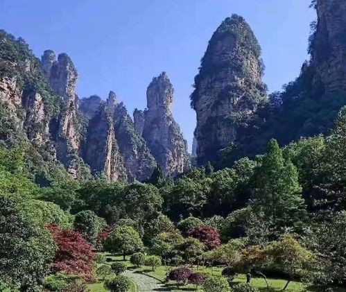 张家界景区拆分收费引发争议，当地通报回应质疑