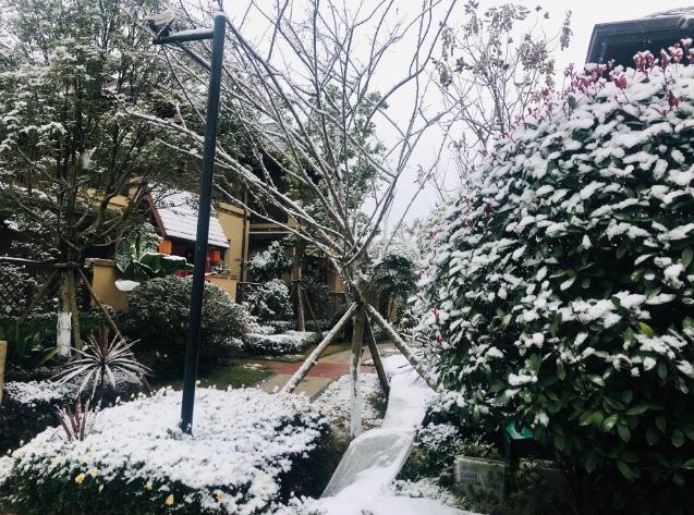 成都今年首场秋雪纷飞，银装素裹迎初雪季