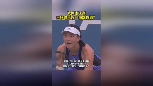 猫咪狩猎之旅