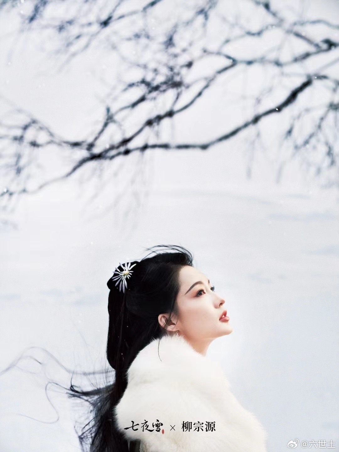 七夜雪