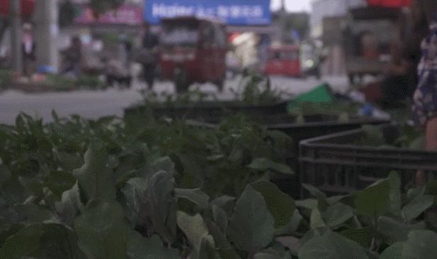 奶奶卖菜攒钱见证
