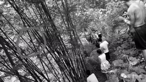 余华英浇烫事件，深度分析与警示——五岁女孩遭遇滚烫水浇头惨案