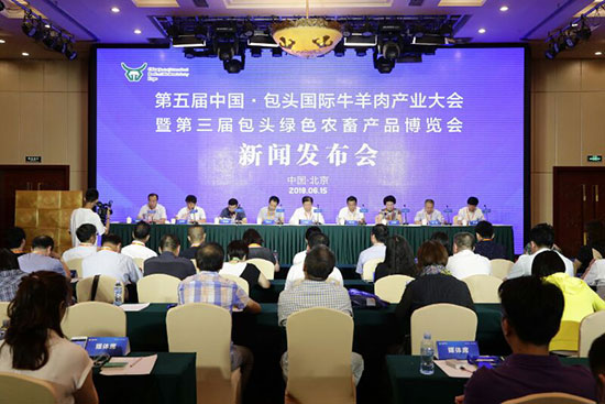 包头最新新闻