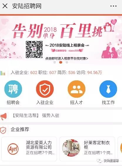 招聘获取指南与机会解读