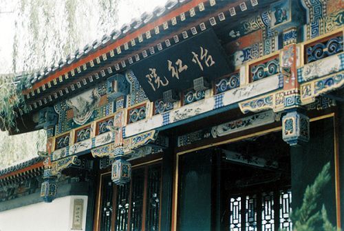 最新怡红院，温馨日常的欢乐时光