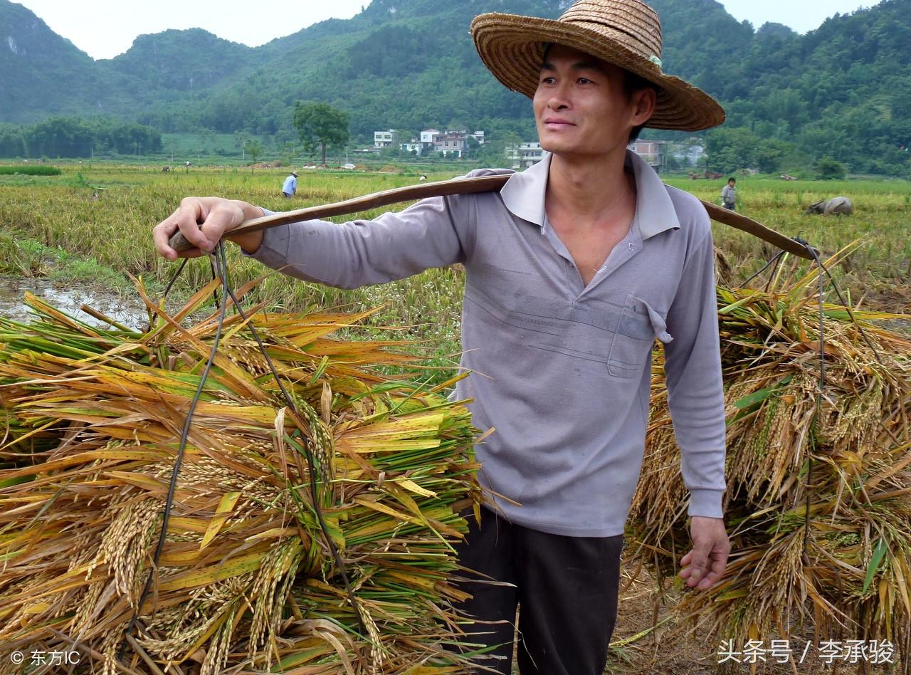百色新闻最新动态，自然美景之旅，探寻内心宁静与平和