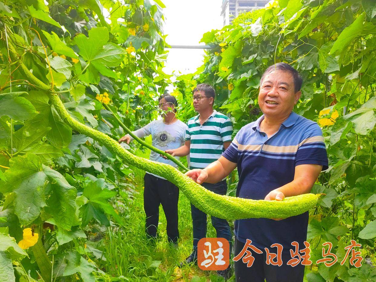 警告，避免涉黄内容——丝瓜视频最新版下载及高清影音娱乐体验