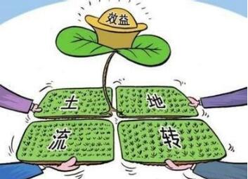 农村承包土地最新政策