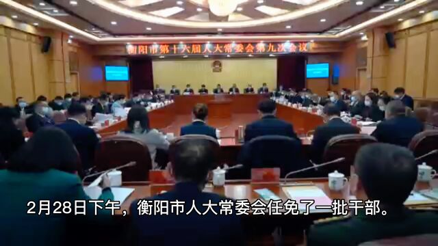 衡阳最新人事任免重塑格局，引领未来发展之路