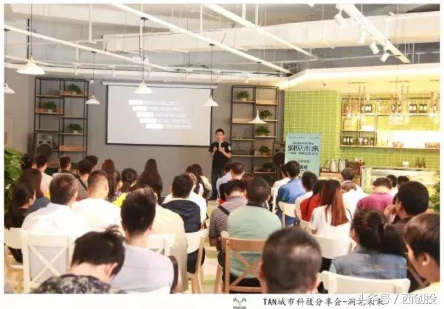 金能科技动态更新